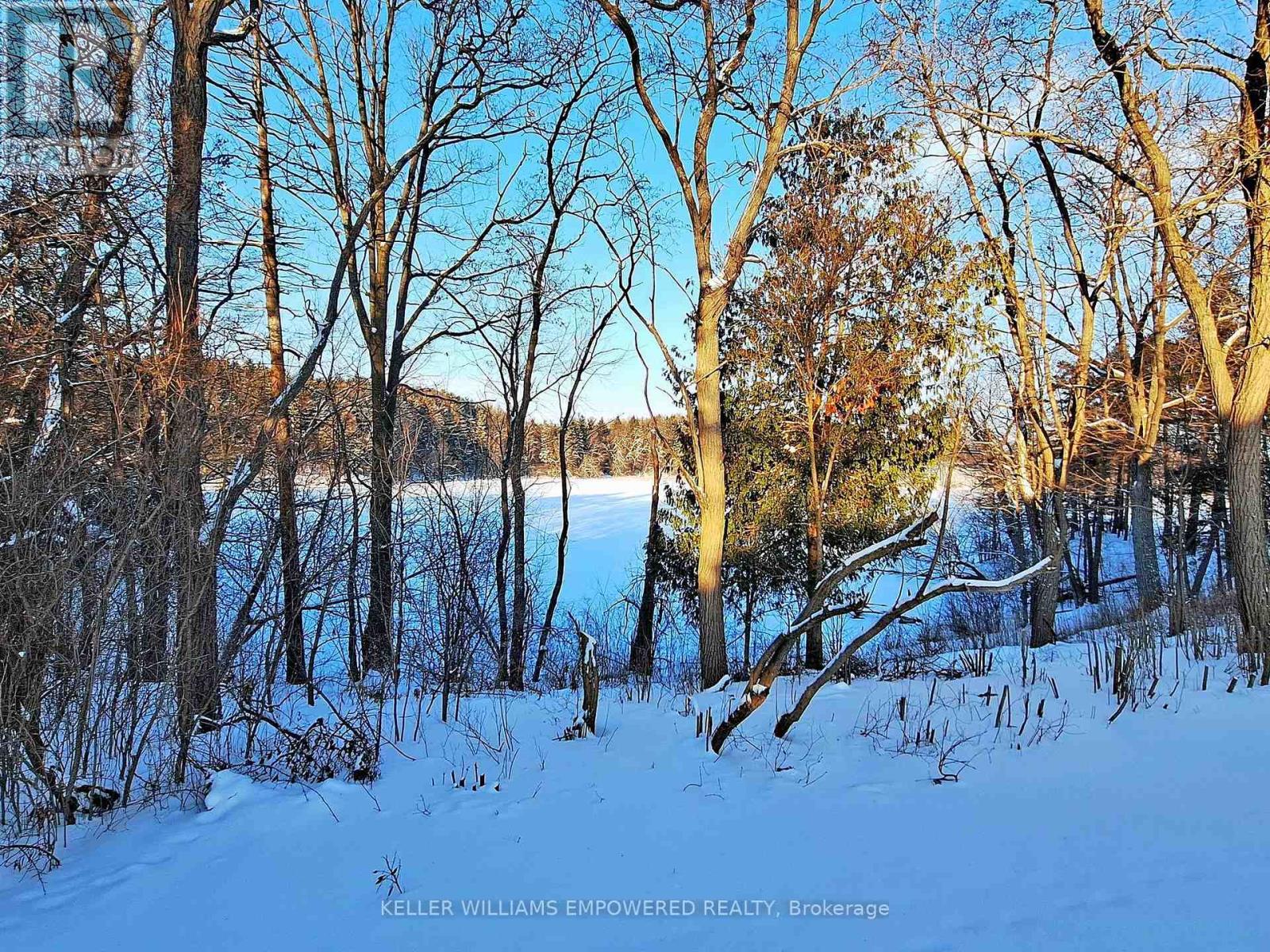 6 And 8 Macleod Estate Court, Richmond Hill, Ontario  L4E 0B1 - Photo 4 - N12770830