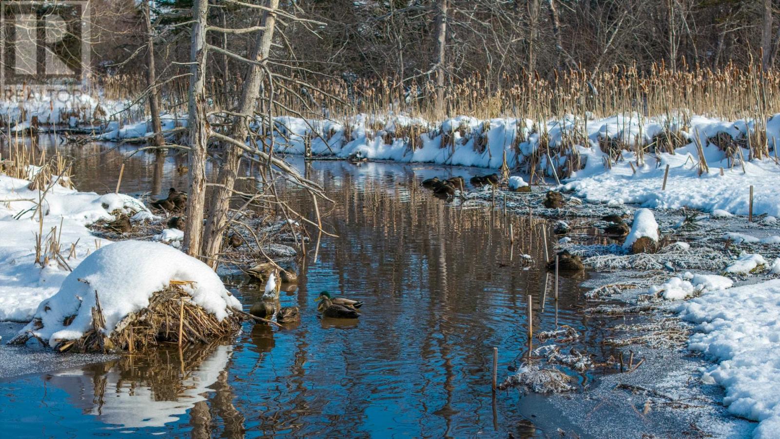 26 Doc Blanchard Crescent, Charlottetown, Prince Edward Island C1A 9K3 - Photo 38 - 202602409