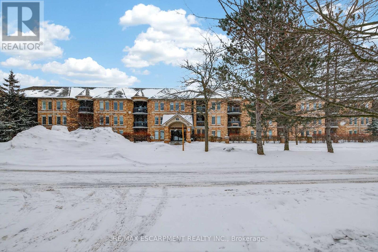 312 - 59 Critzia Drive, Hamilton, Ontario  L0R 1W0 - Photo 2 - X12770766