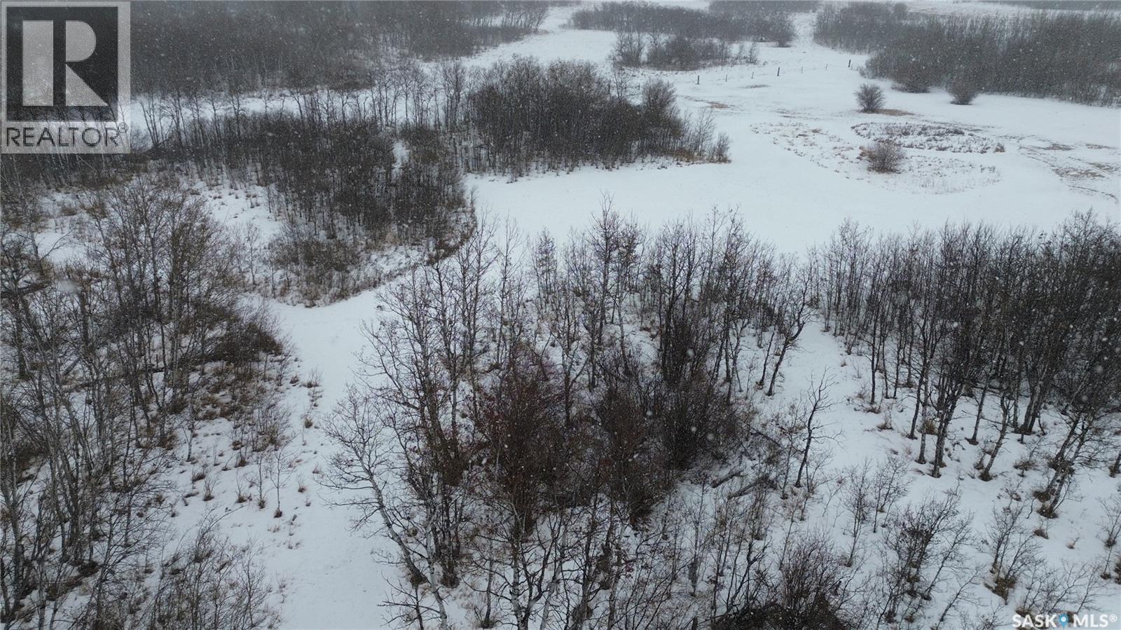 9.85 Acre Lot, Vanscoy Rm No. 345, Saskatchewan  S0L 3J0 - Photo 6 - SK028154