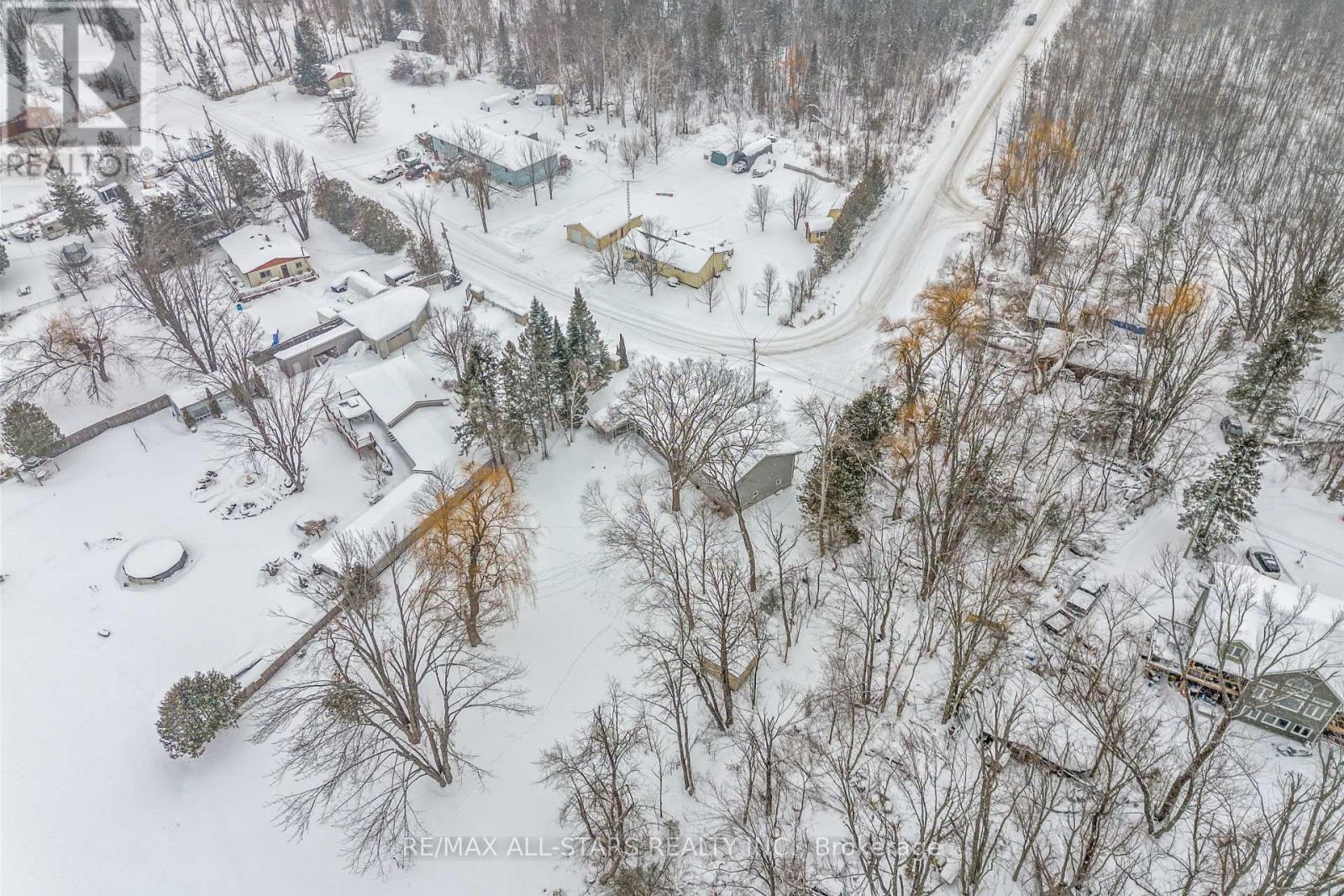 1 Beatrice Drive, Kawartha Lakes, Ontario  K0M 1N0 - Photo 30 - X12771044