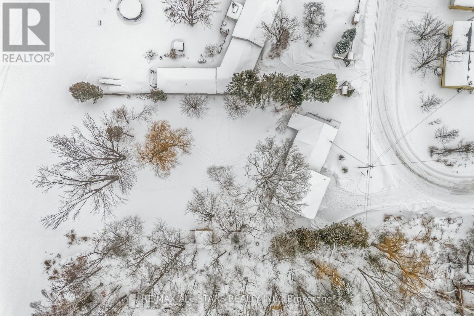 1 Beatrice Drive, Kawartha Lakes, Ontario  K0M 1N0 - Photo 31 - X12771044