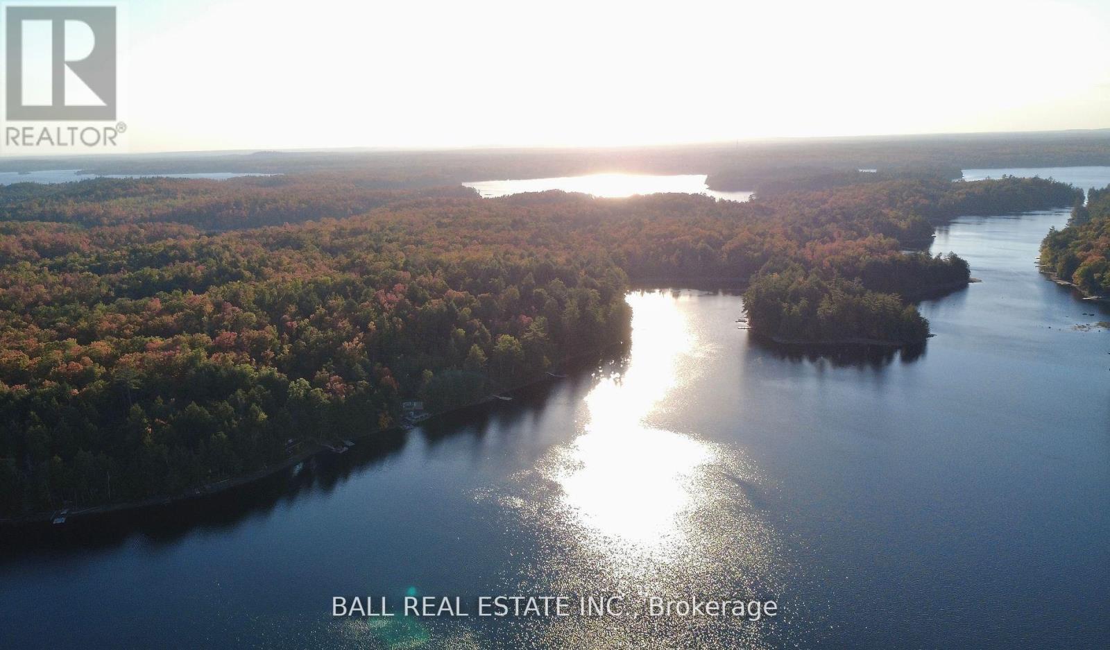 133 Fire Route 214, Trent Lakes, Ontario  K0L 1J0 - Photo 44 - X12771120