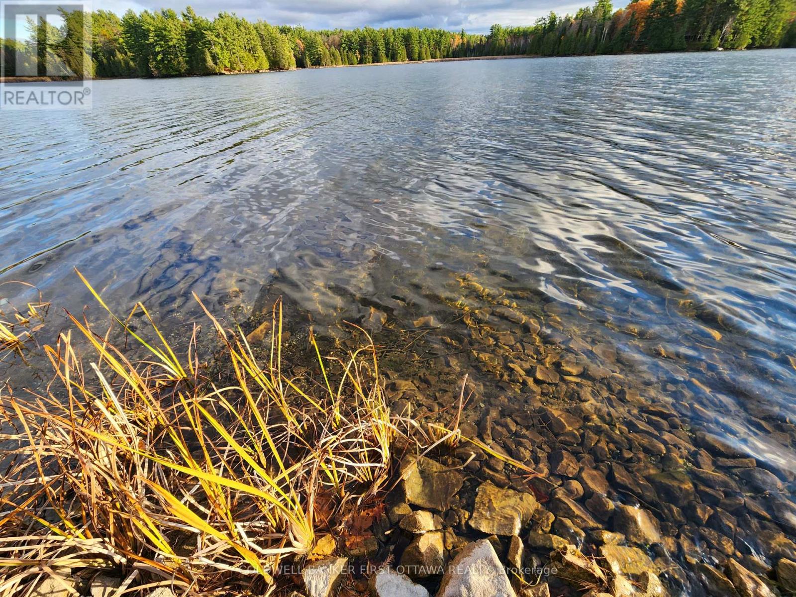 161 Keith's Bluff Road, Lanark Highlands, Ontario  K0A 3L0 - Photo 8 - X12764988