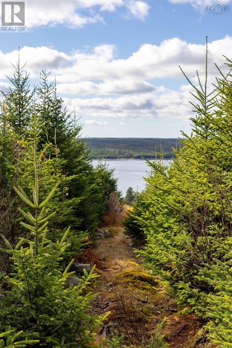Lorem Ipsum Dolor S, Sherbrooke, Nova Scotia  B0J  - Photo 18 - DEMO29127437