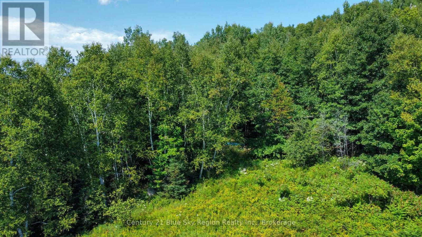 Pt Lt 13 South Shore Road, East Ferris, Ontario  P0H 1B0 - Photo 7 - X12771408