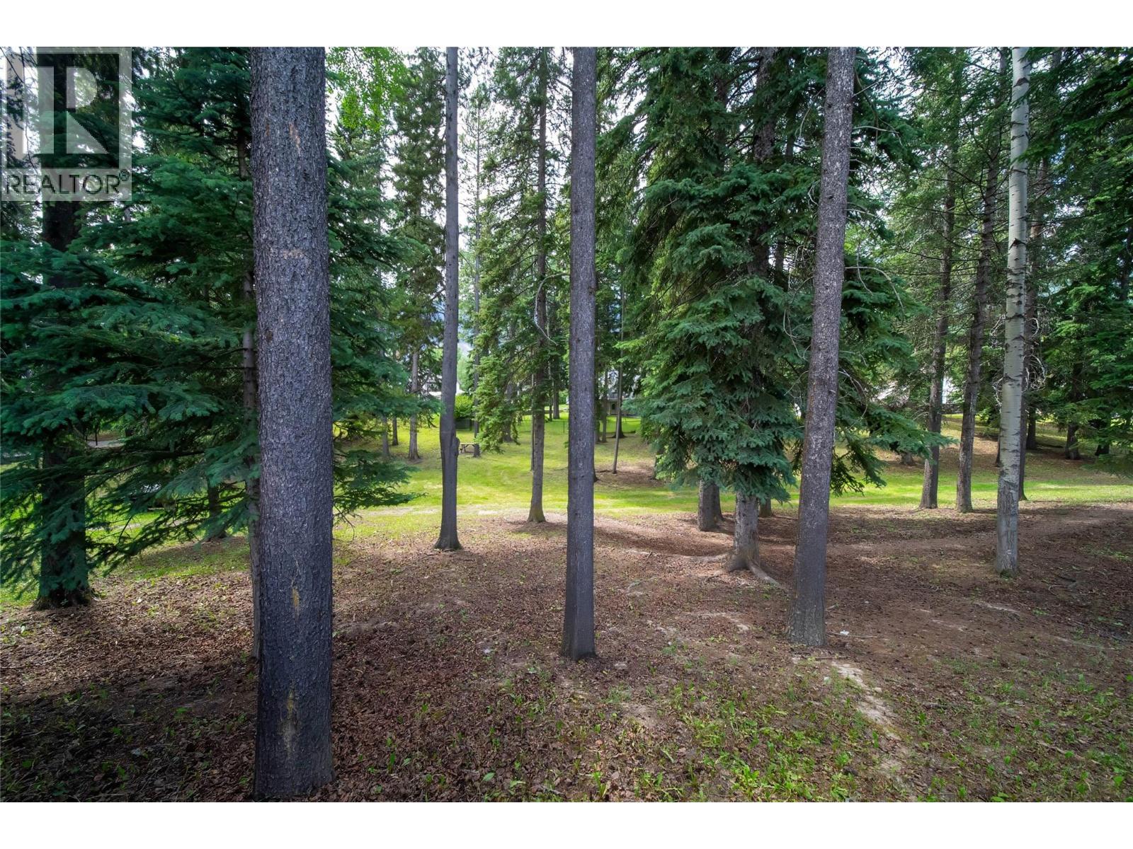 1357 Cypress Drive, Sparwood, British Columbia  V0B 2G2 - Photo 65 - 10374749