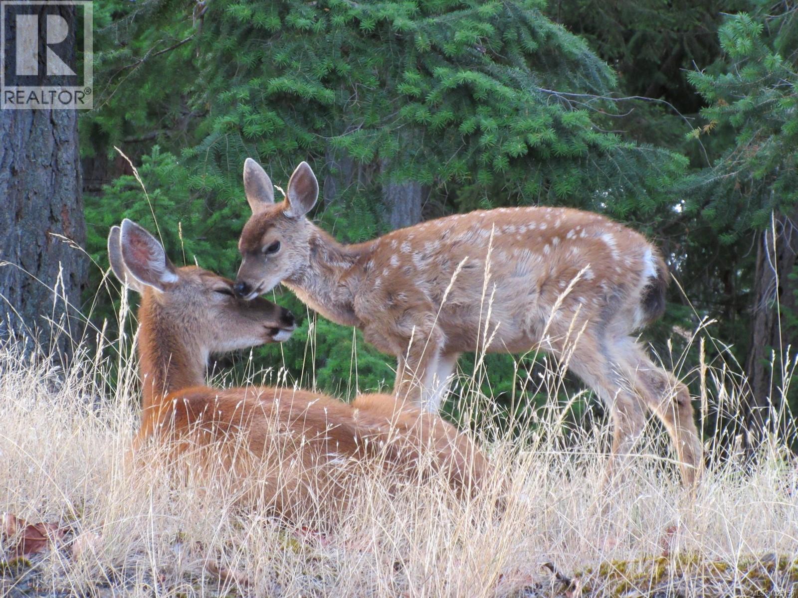 456 Scott Point Dr, Salt Spring, British Columbia  V8K 2R2 - Photo 34 - 1025158