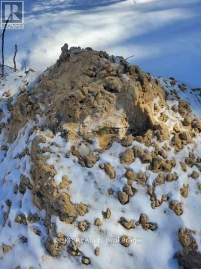 3124 Southwood Road, Gravenhurst, Ontario  P0E 1G0 - Photo 22 - X12771364