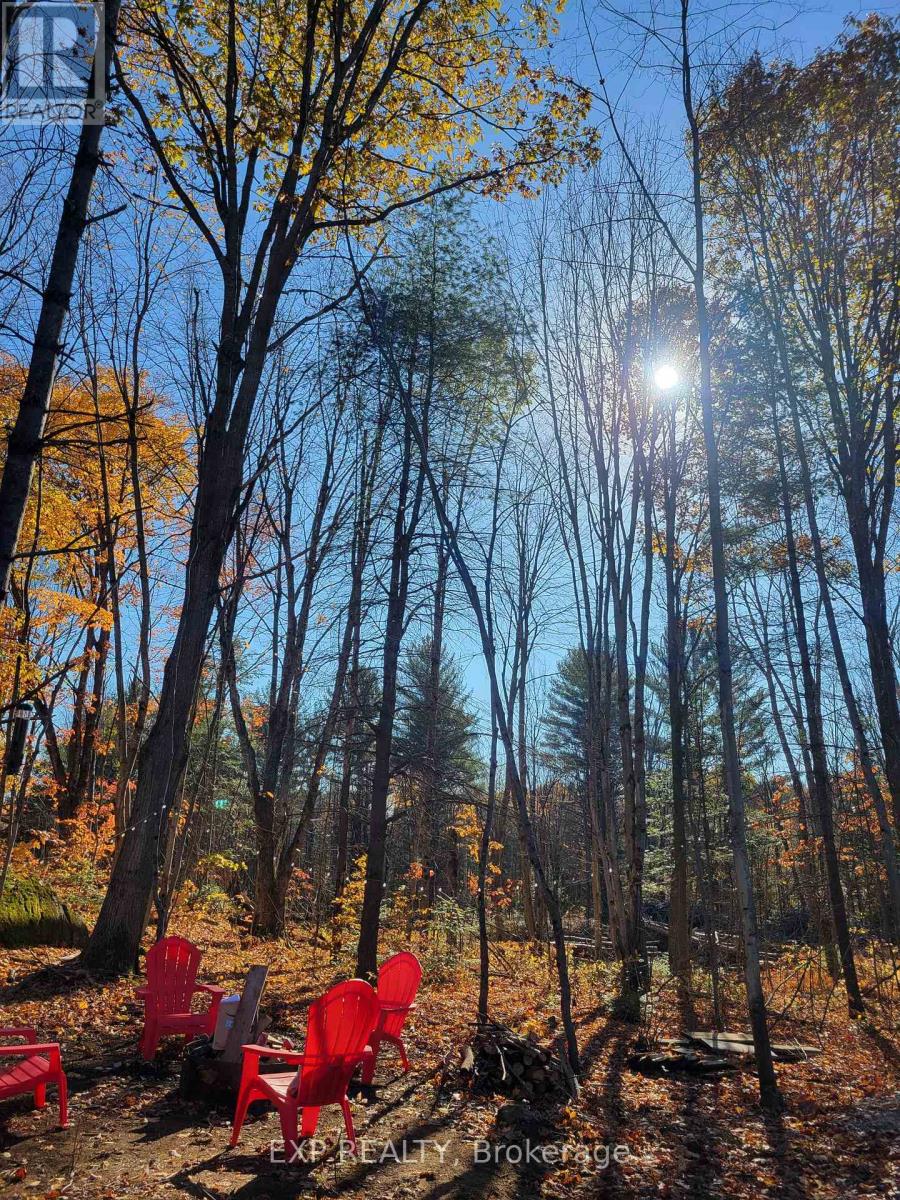 3124 Southwood Road, Gravenhurst, Ontario  P0E 1G0 - Photo 28 - X12771364