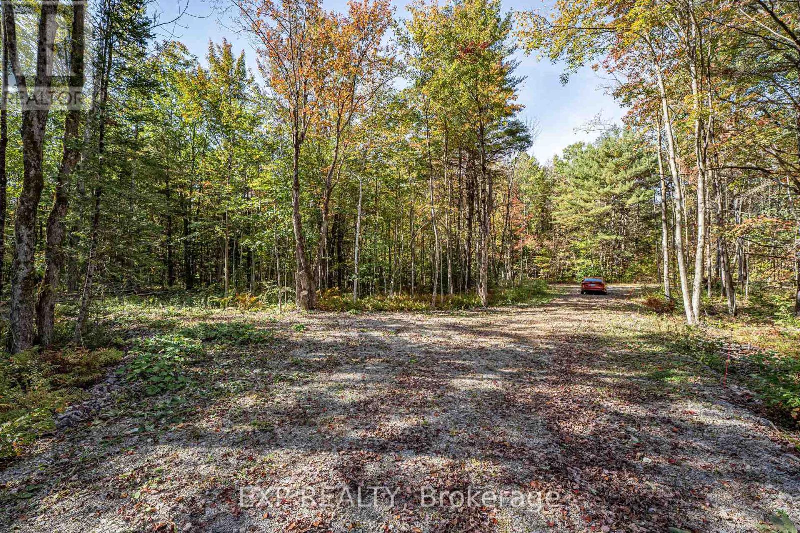 3124 Southwood Road, Gravenhurst, Ontario  P0E 1G0 - Photo 3 - X12771364