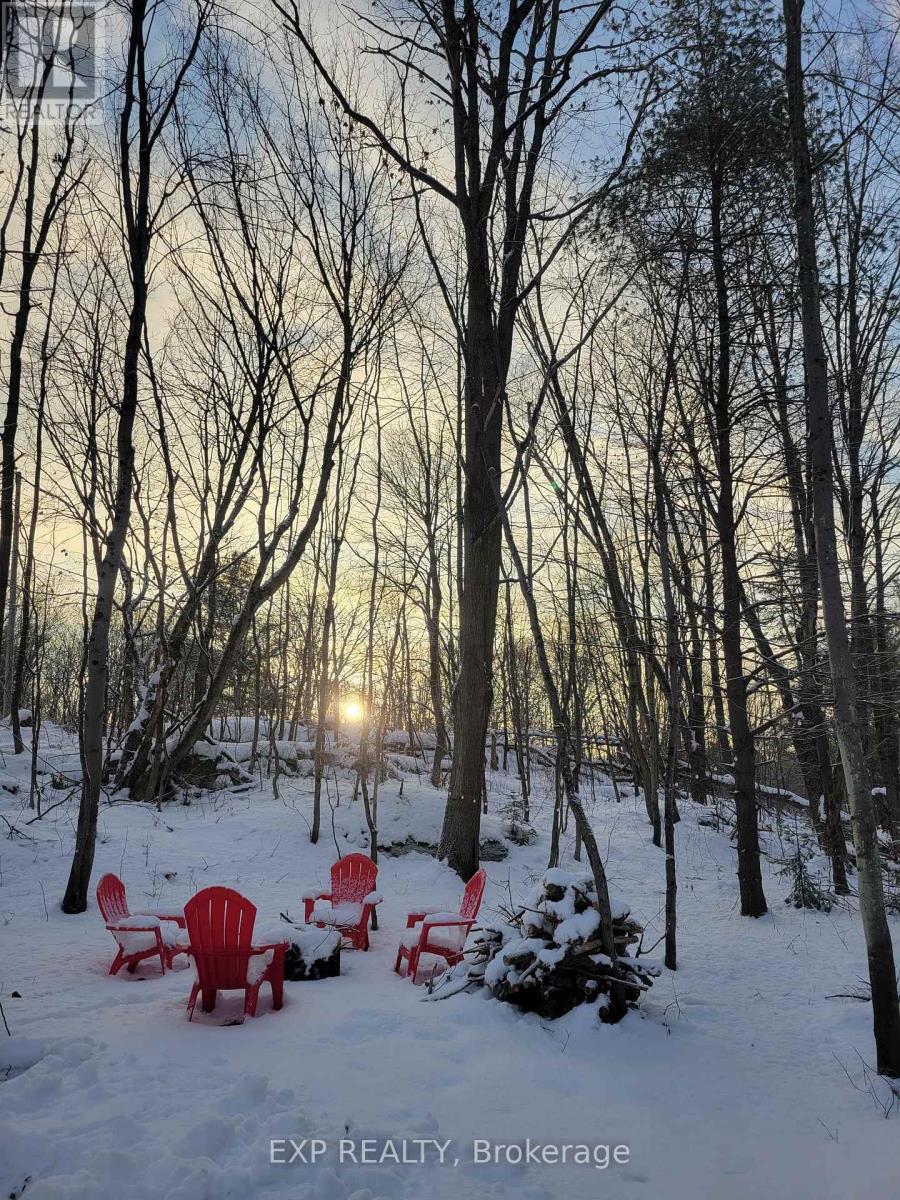 3124 Southwood Road, Gravenhurst, Ontario  P0E 1G0 - Photo 33 - X12771364