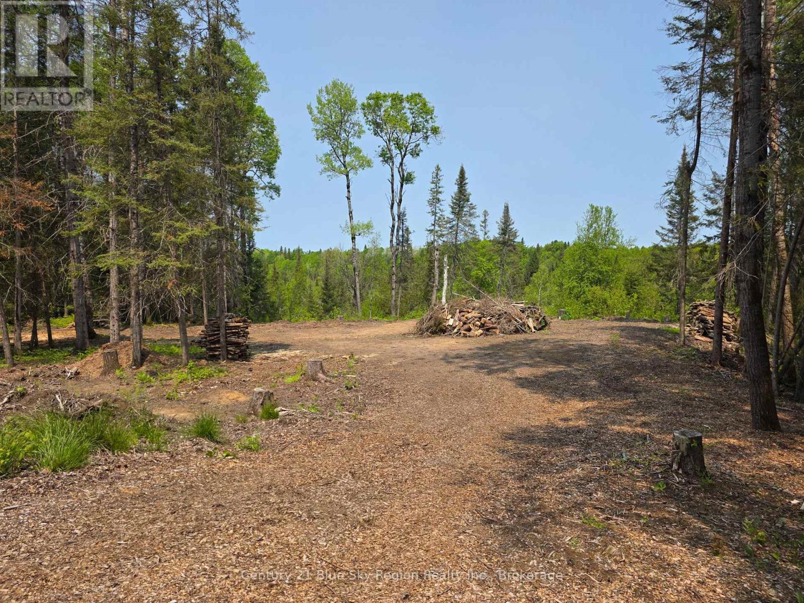 356 Hunt Line, Powassan, Ontario  P0H 1Z0 - Photo 10 - X12771512