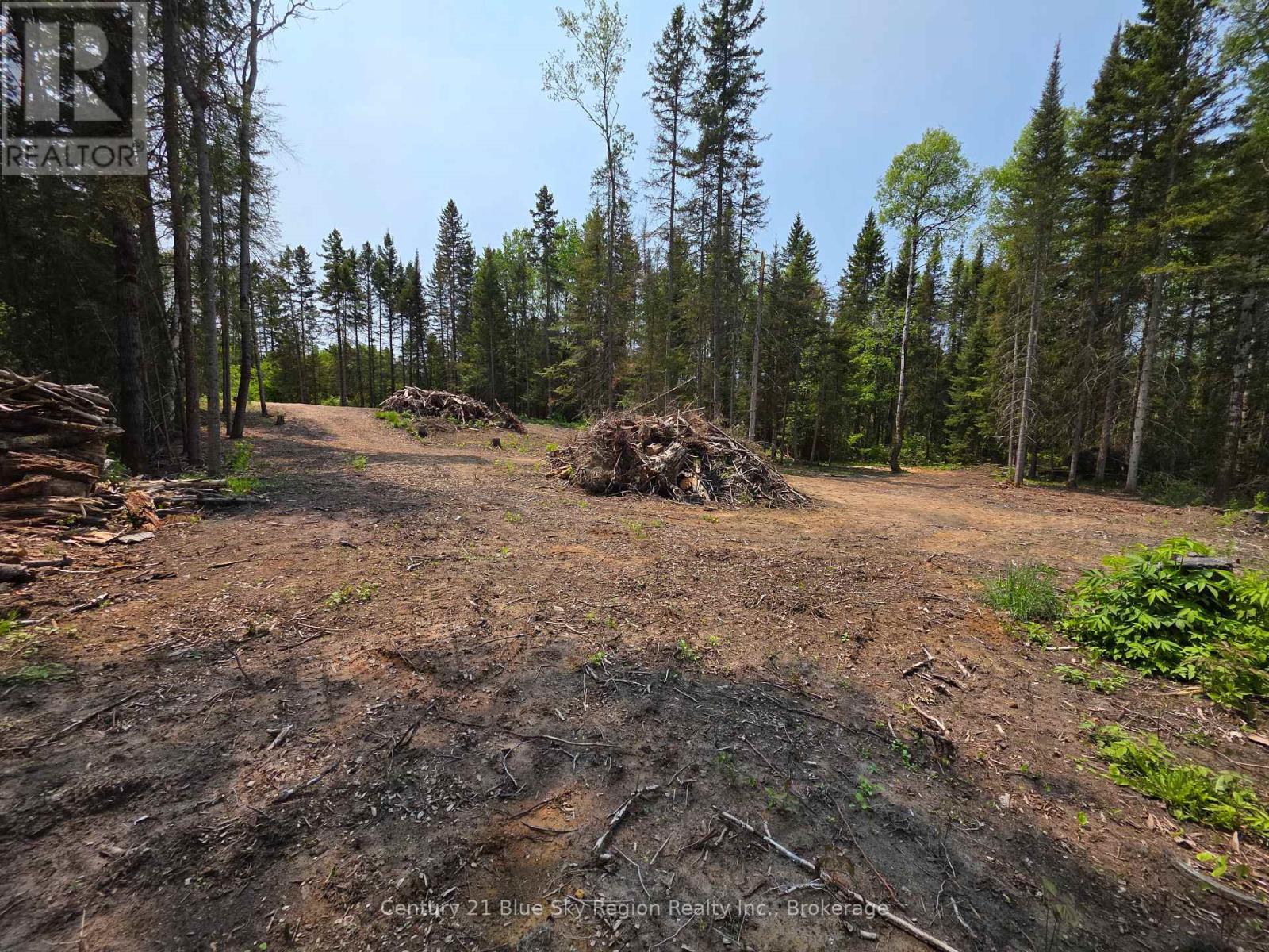 356 Hunt Line, Powassan, Ontario  P0H 1Z0 - Photo 14 - X12771512