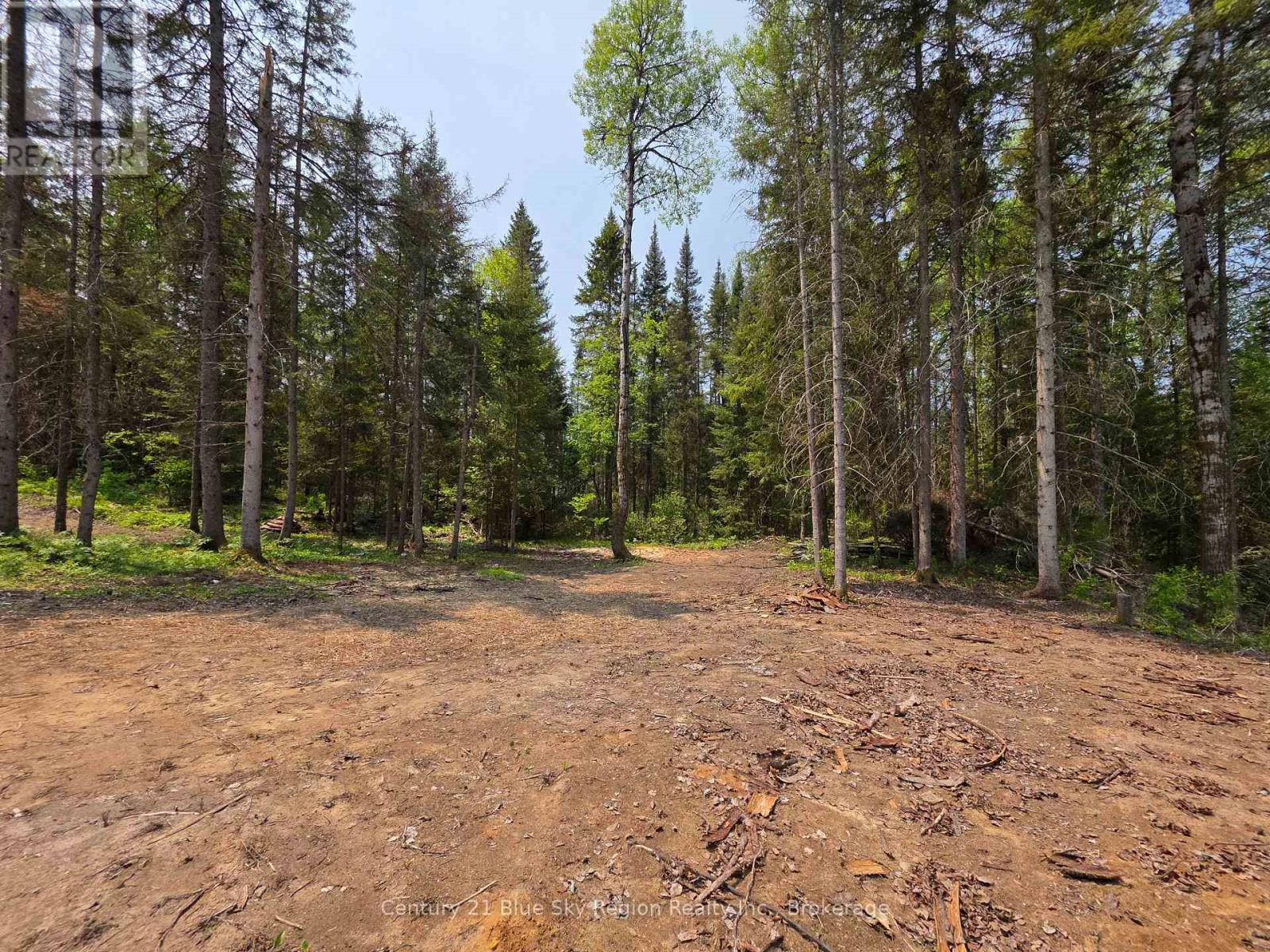 356 Hunt Line, Powassan, Ontario  P0H 1Z0 - Photo 15 - X12771512