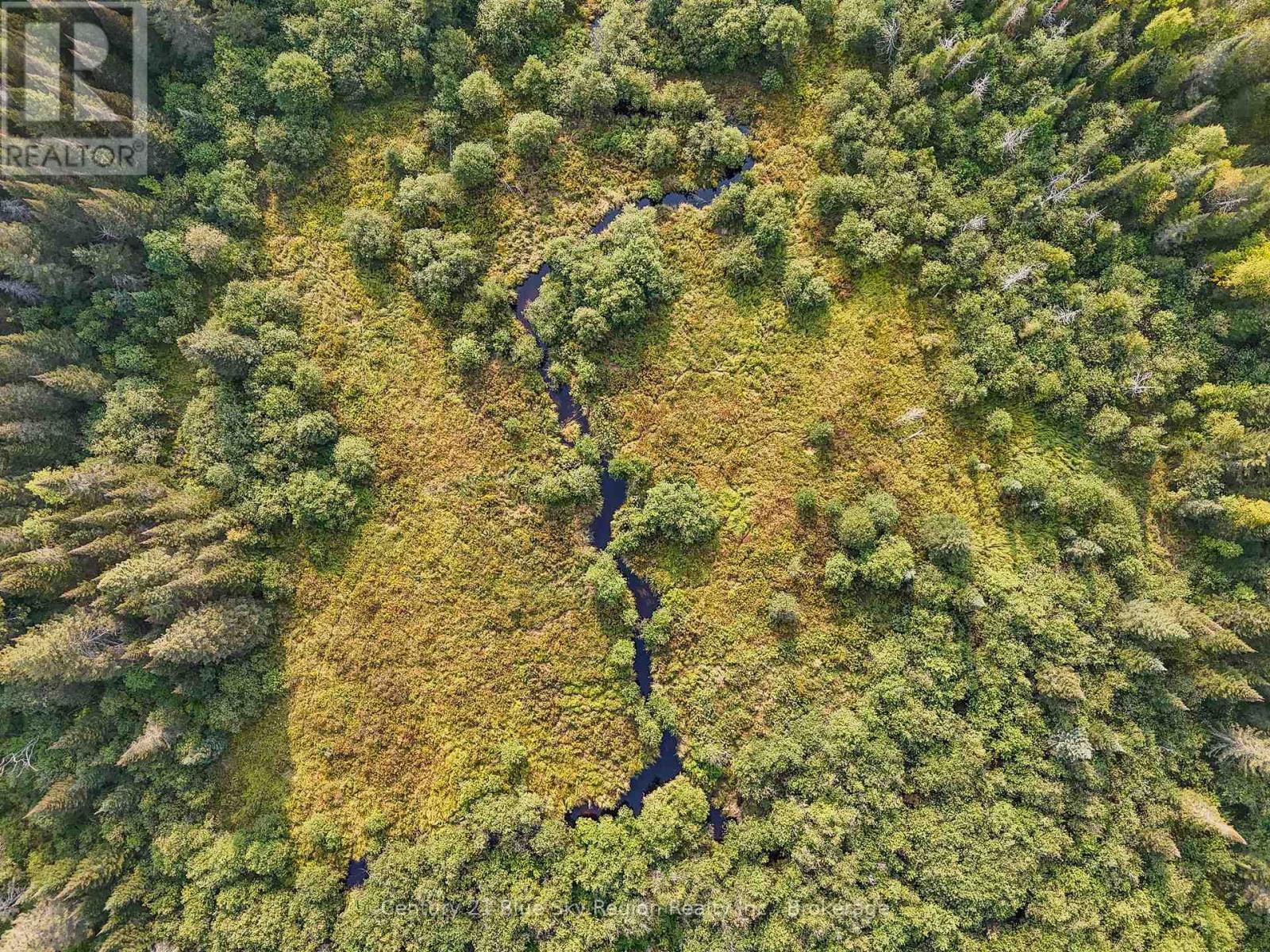 356 Hunt Line, Powassan, Ontario  P0H 1Z0 - Photo 5 - X12771512