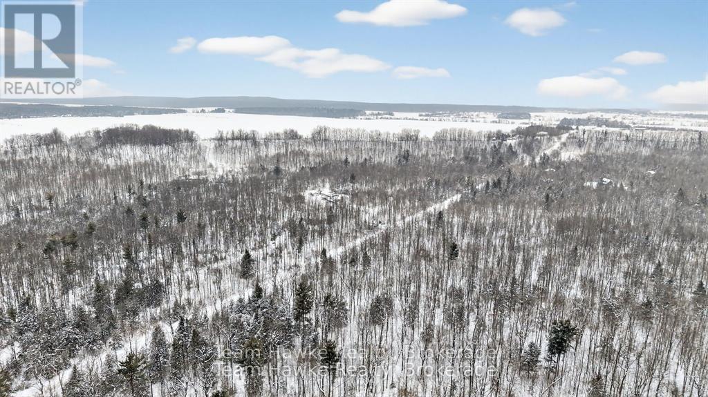 50 Laurier Boulevard, Tiny, Ontario  L9M 0J2 - Photo 42 - S12771496