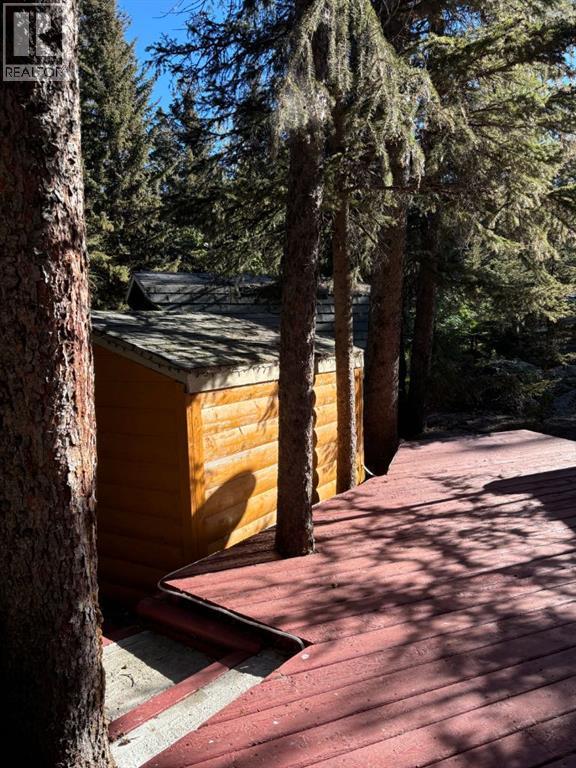 18, 200 4th Ave Sw, Sundre, Alberta  T0M 1X0 - Photo 18 - A2262727