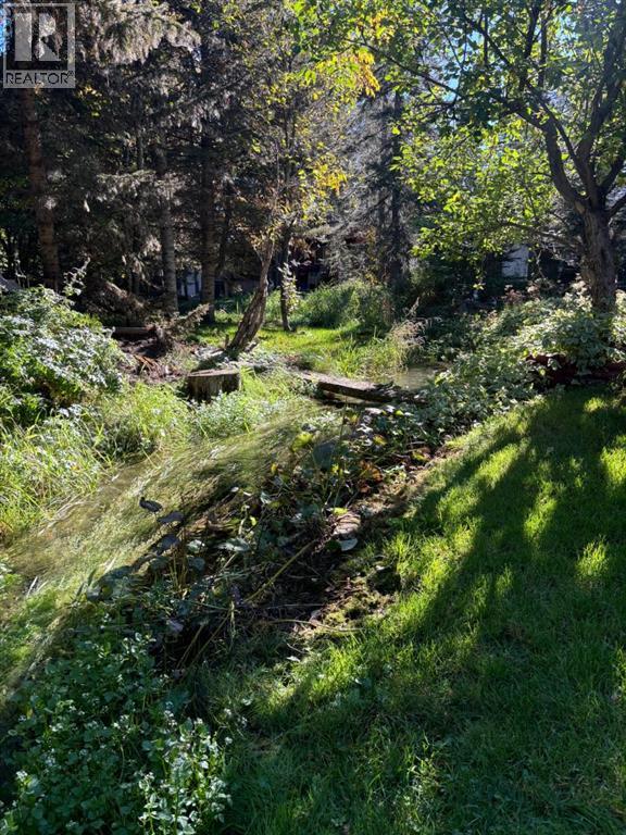 18, 200 4th Ave Sw, Sundre, Alberta  T0M 1X0 - Photo 24 - A2262727