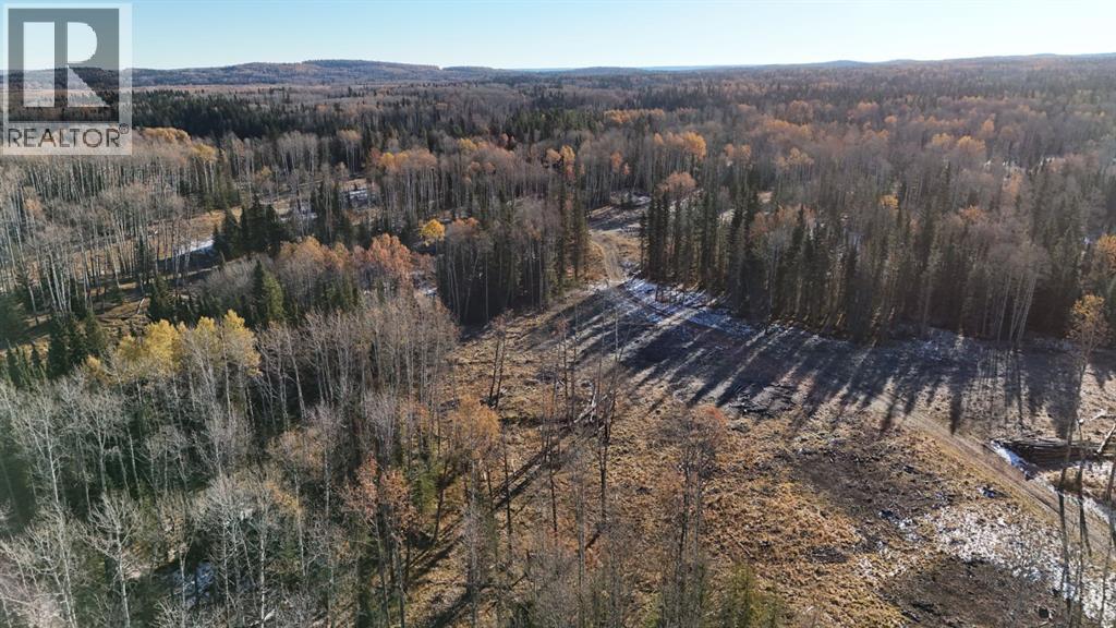 32521 Range Road 72, Rural Mountain View County, Alberta  T0M 1X0 - Photo 4 - A2264822
