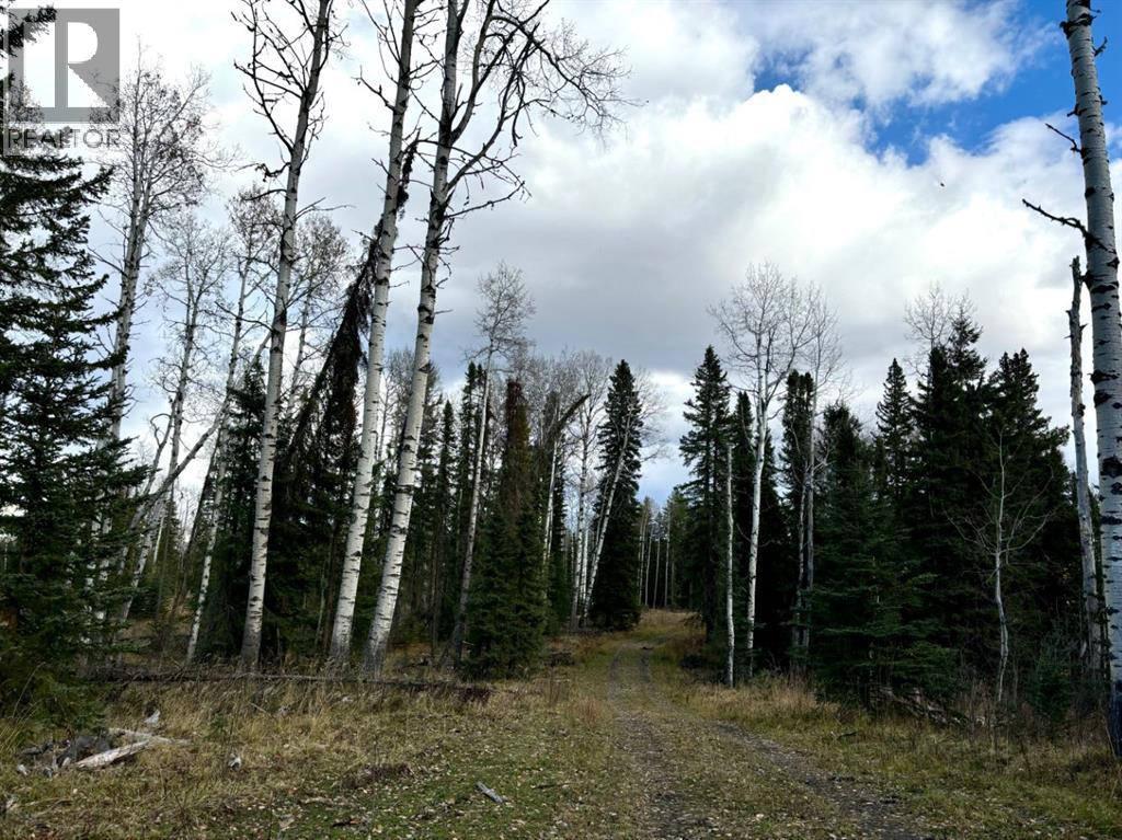 32521 Range Road 72, Rural Mountain View County, Alberta  T0M 1X0 - Photo 3 - A2264822