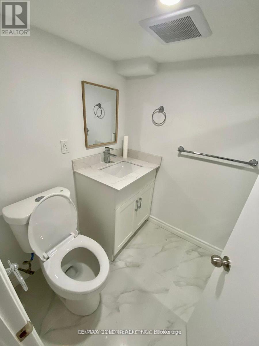 Lower - 1070 Fergus Avenue, Mississauga, Ontario  L5E 2P1 - Photo 6 - W12771528