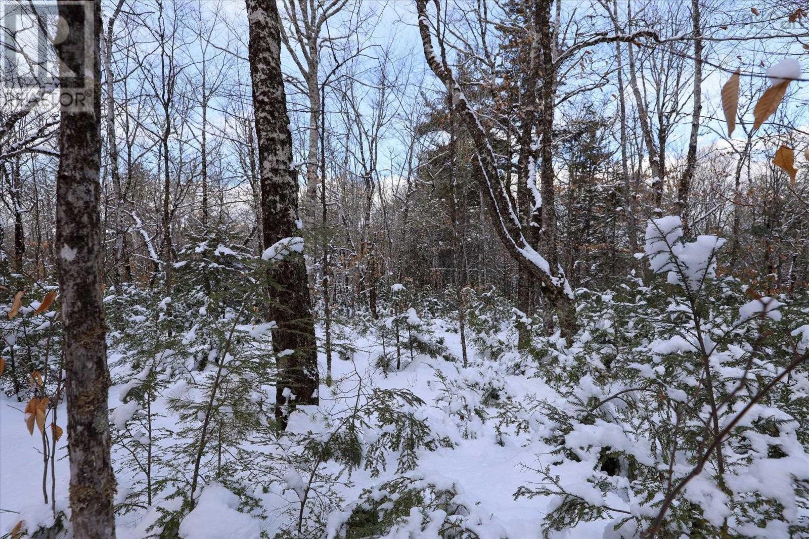 170 Uhlman Point Road, Molega North, Nova Scotia  B0T 1X0 - Photo 27 - 202602423