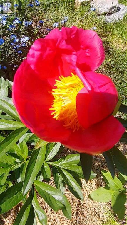 623 75 Avenue Sw, Calgary, Alberta  T2V 0S4 - Photo 41 - A2283337