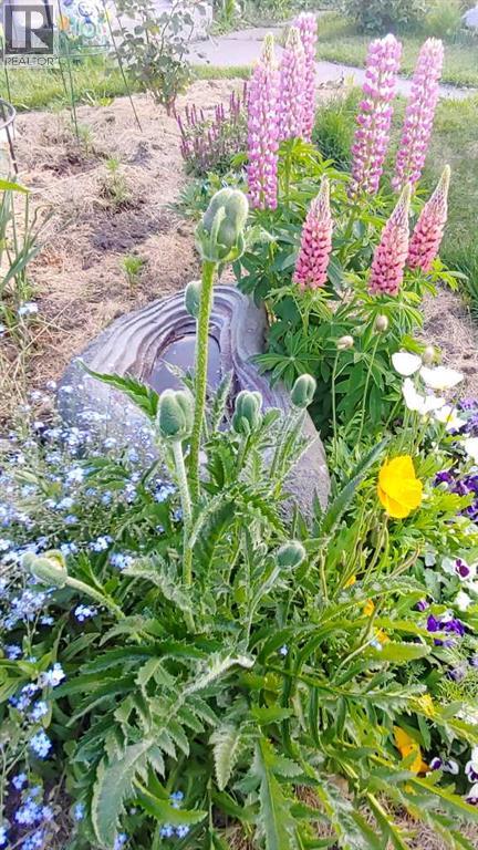 623 75 Avenue Sw, Calgary, Alberta  T2V 0S4 - Photo 39 - A2283337