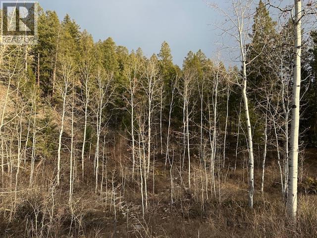 Mountain View Drive Lot# 32, Fairmont Hot Springs, British Columbia  V0B 1L1 - Photo 10 - 10375283