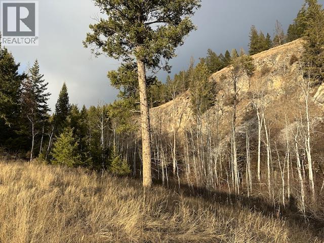 Mountain View Drive Lot# 32, Fairmont Hot Springs, British Columbia  V0B 1L1 - Photo 3 - 10375283