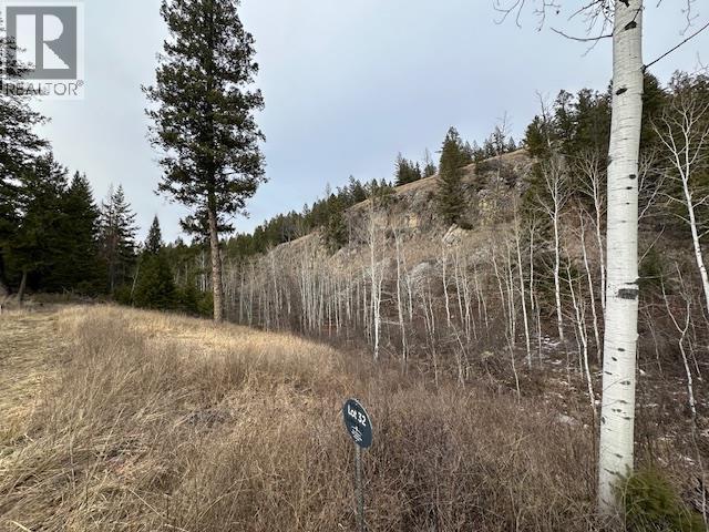 Mountain View Drive Lot# 32, Fairmont Hot Springs, British Columbia  V0B 1L1 - Photo 4 - 10375283