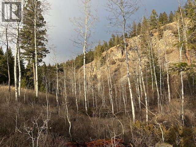 Mountain View Drive Lot# 32, Fairmont Hot Springs, British Columbia  V0B 1L1 - Photo 7 - 10375283