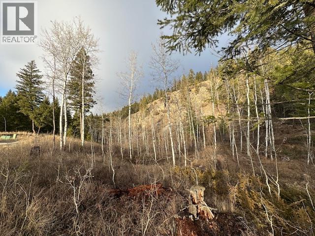 Mountain View Drive Lot# 32, Fairmont Hot Springs, British Columbia  V0B 1L1 - Photo 8 - 10375283