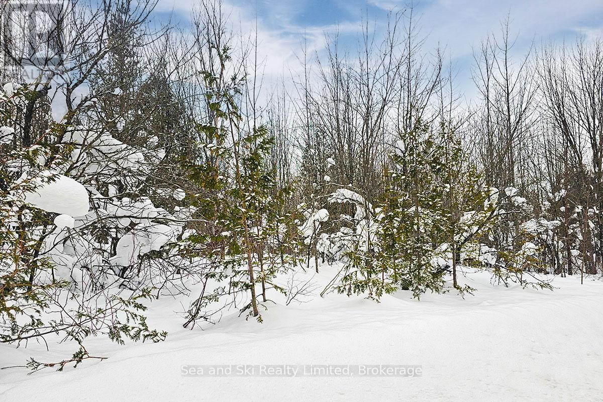 180 Bowles Bluff Road, Grey Highlands, Ontario  N0C 1H0 - Photo 2 - X12769362