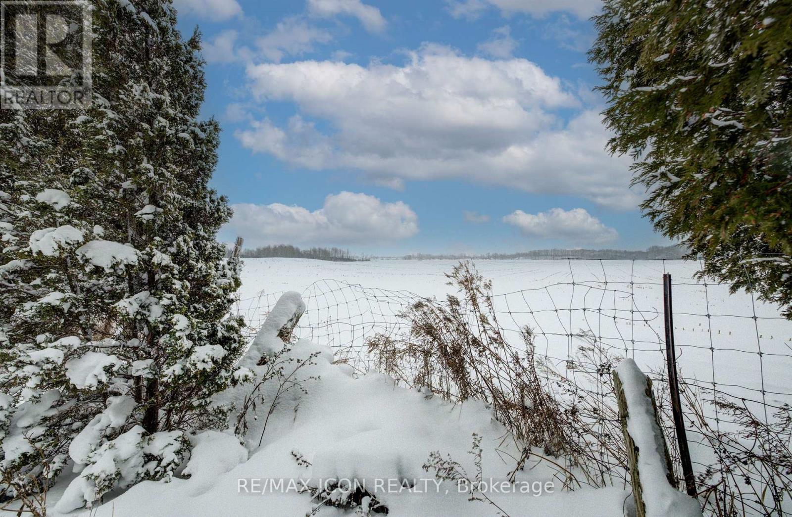 9429 Sally Street, Wellington North, Ontario  N0G 2L0 - Photo 31 - X12771926