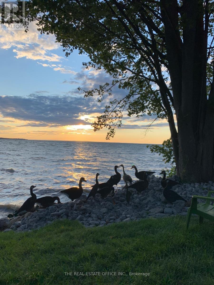 100 Alsops Beach Road N, Brock, Ontario  L0K 1A0 - Photo 13 - N12772038