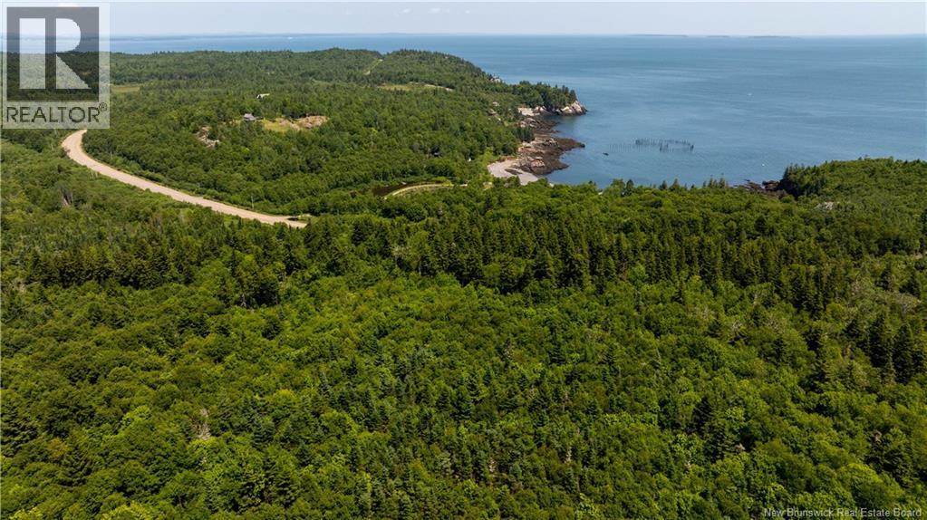Lot 86-133 Fundy Drive, Campobello, New Brunswick  E5E 1C1 - Photo 1 - NB102808