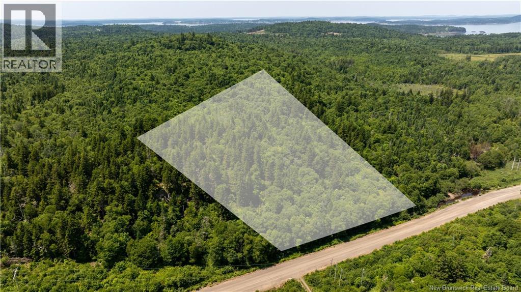 Lot 86-133 Fundy Drive, Campobello, New Brunswick  E5E 1C1 - Photo 12 - NB102808