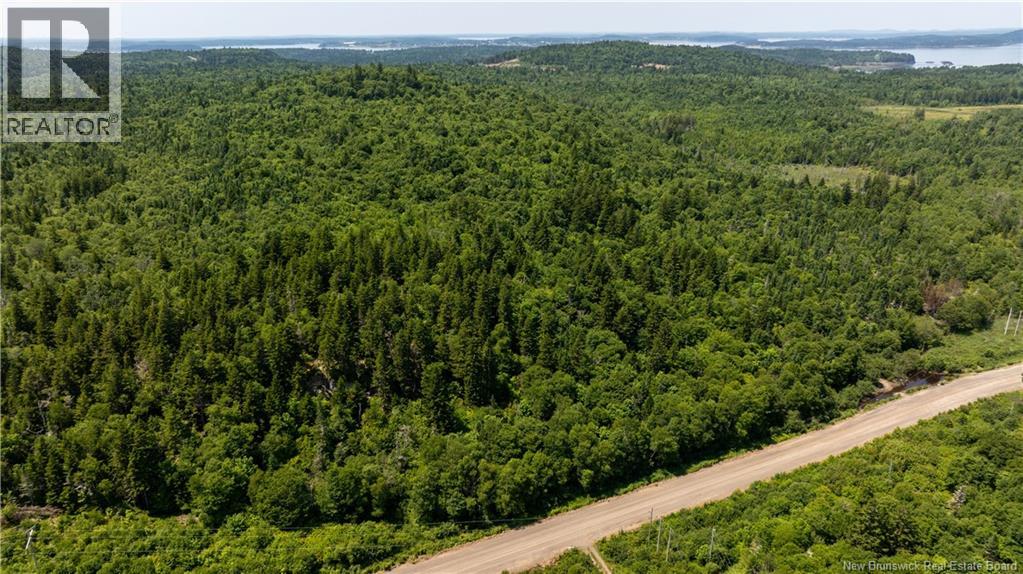 Lot 86-133 Fundy Drive, Campobello, New Brunswick  E5E 1C1 - Photo 13 - NB102808