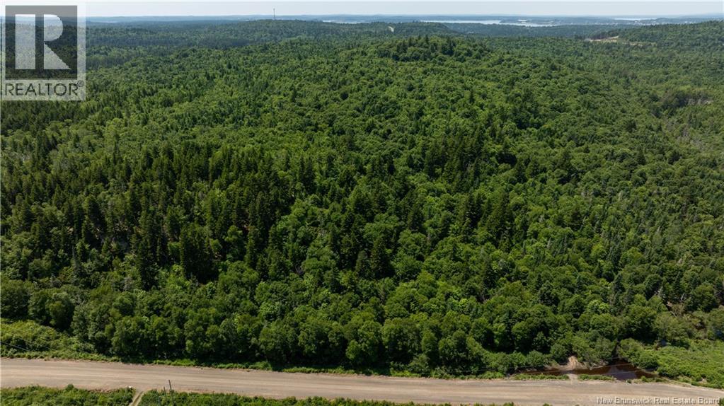 Lot 86-133 Fundy Drive, Campobello, New Brunswick  E5E 1C1 - Photo 14 - NB102808