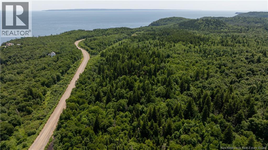 Lot 86-133 Fundy Drive, Campobello, New Brunswick  E5E 1C1 - Photo 5 - NB102808