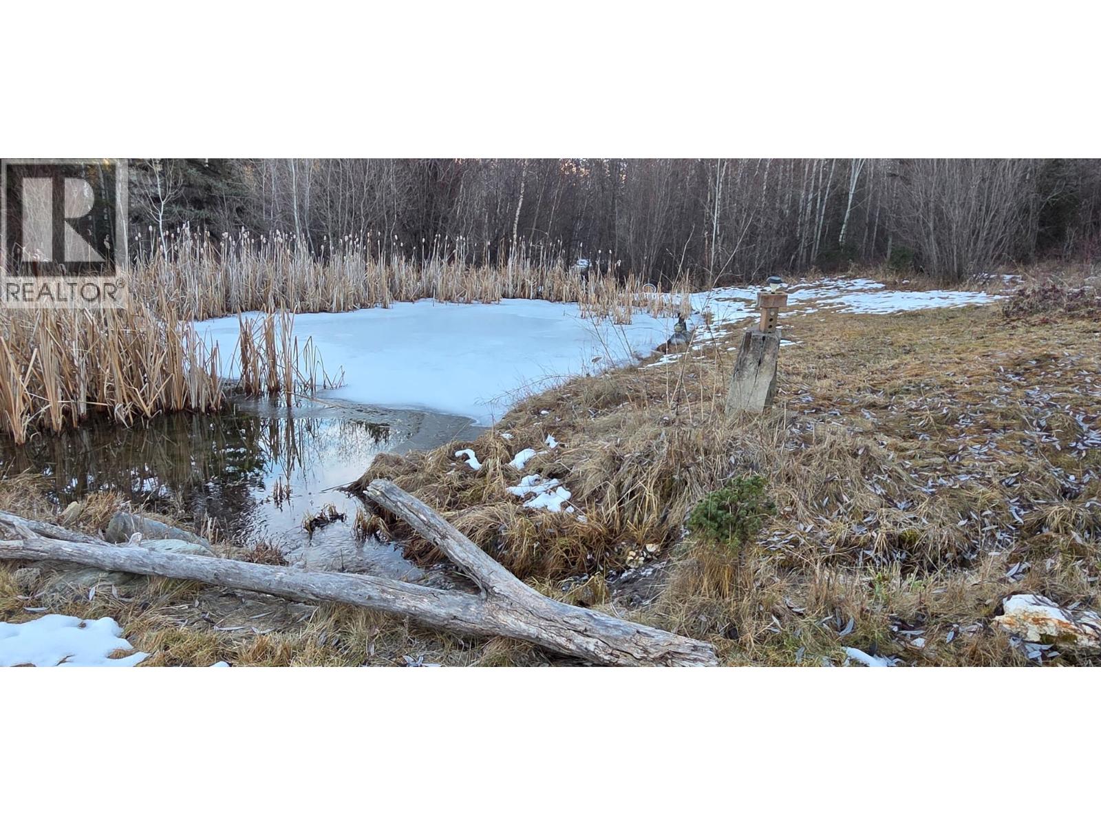 4067 Torrent Road, Skookumchuck, British Columbia  V0B 2E0 - Photo 11 - 10374594