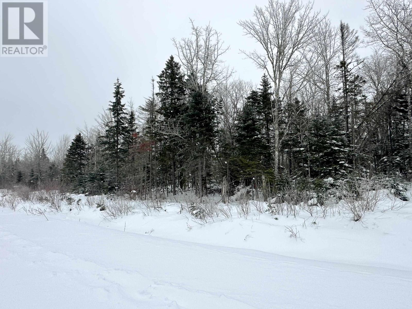 Lot 23-9 Whiskey Way, Wentworth, Nova Scotia  B0M 1Z0 - Photo 3 - 202602330