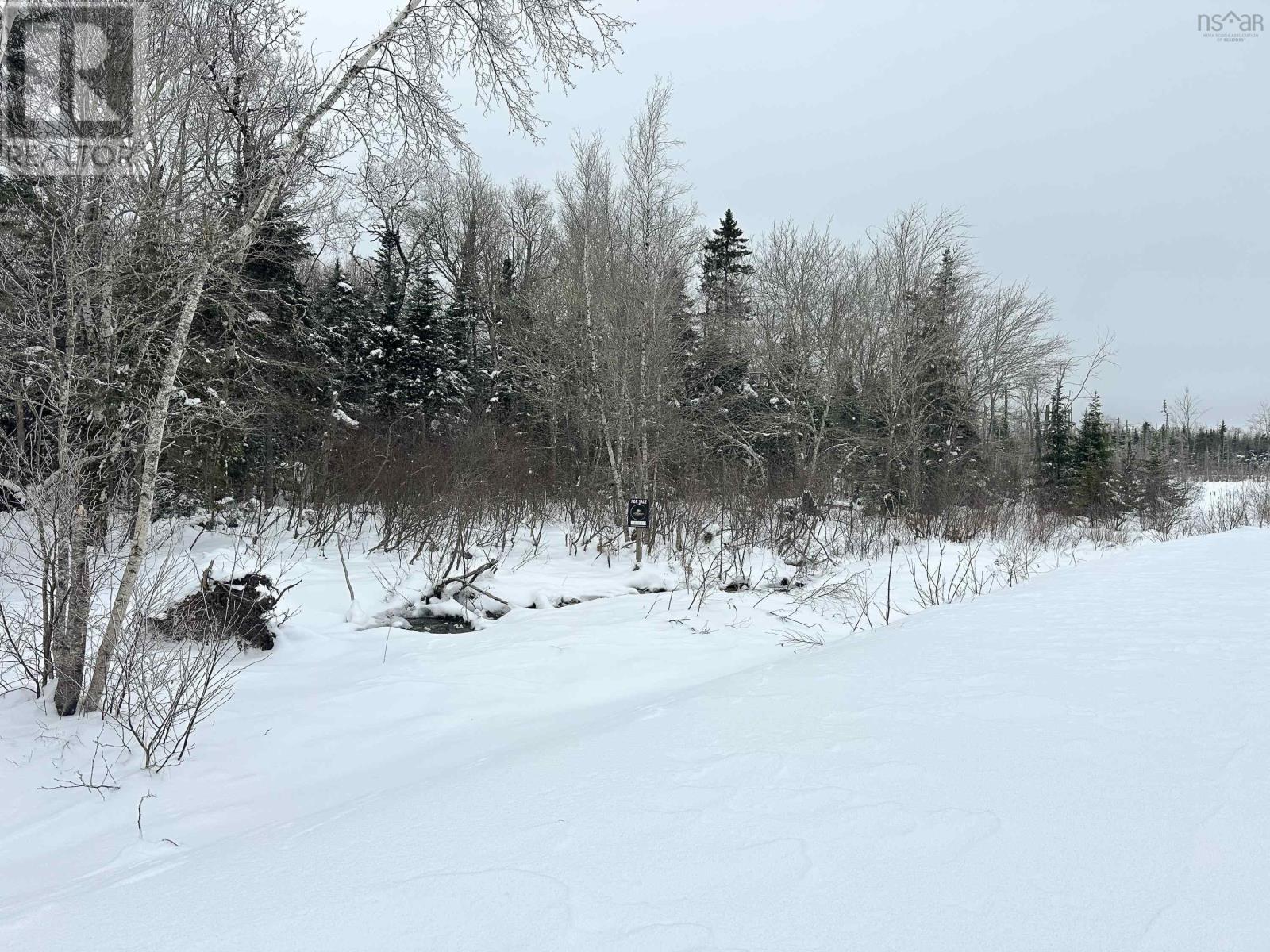 Lot 23-7 Whiskey Way, Wentworth, Nova Scotia  B0M 1Z0 - Photo 4 - 202602331