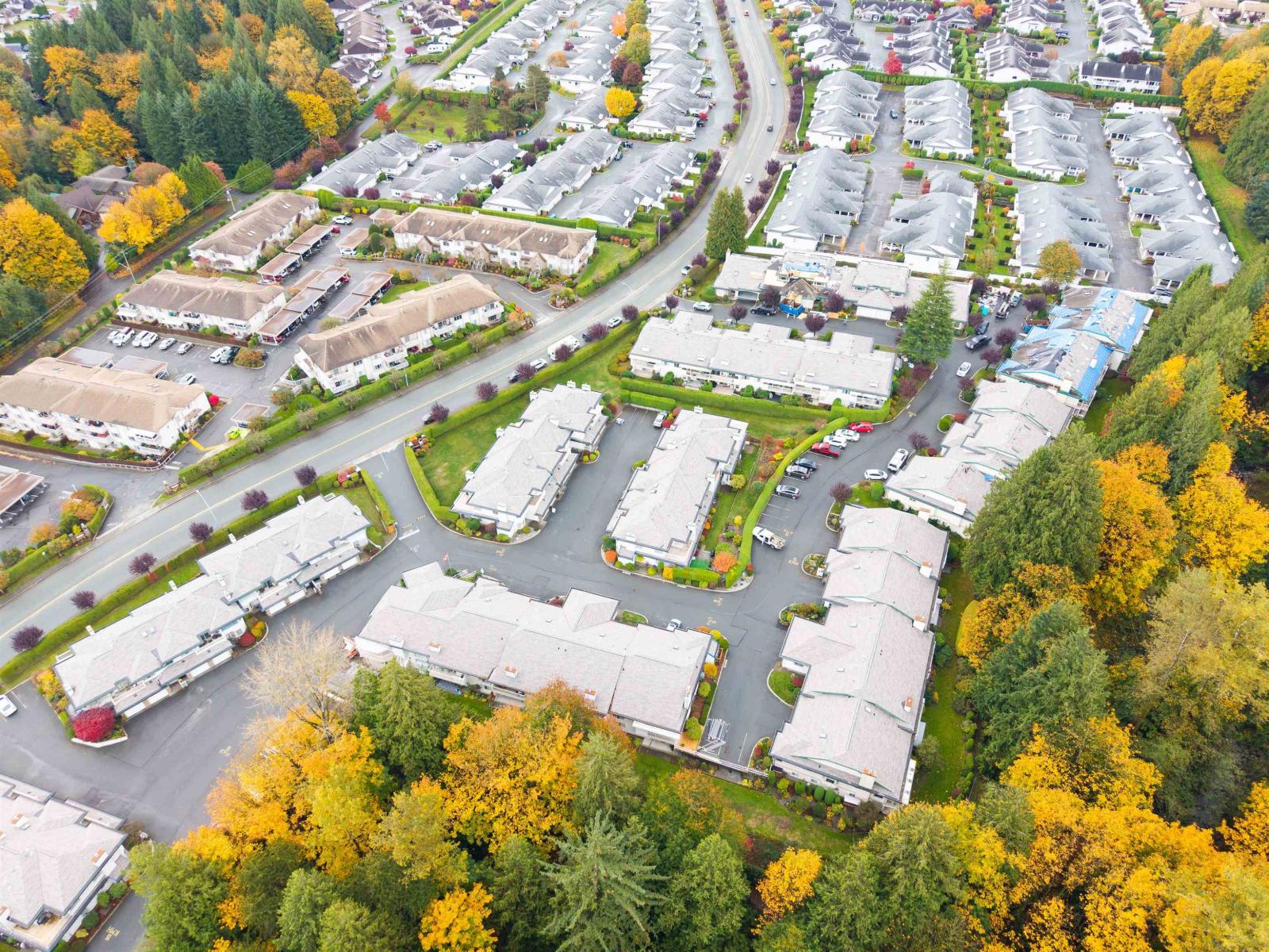 39 3115 Trafalgar Street, Abbotsford, British Columbia  V2S 8C5 - Photo 38 - R3087744