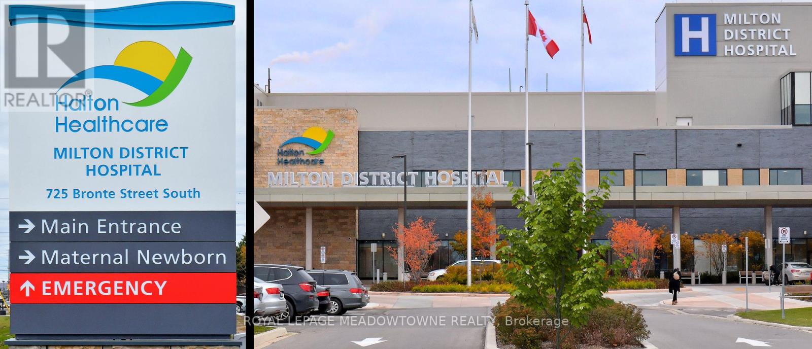 Bsmt - 103 Goodwin Crescent, Milton, Ontario  L9E 1H9 - Photo 35 - W12772550