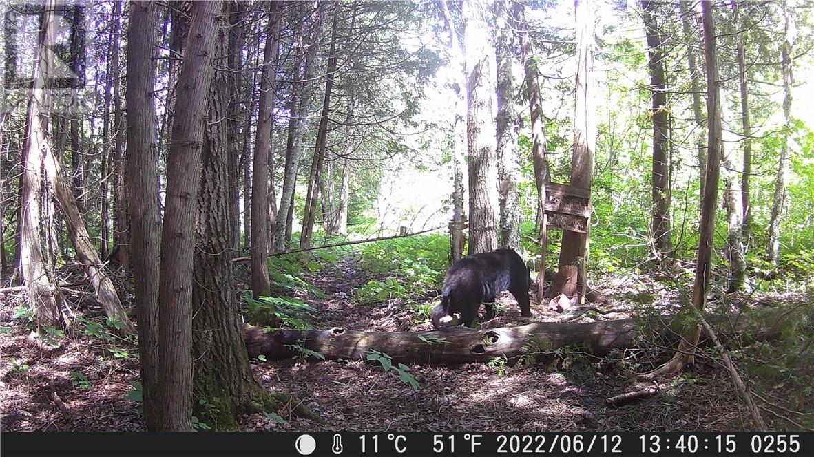 Lot 0 Whitewater, Azilda, Ontario  P0M 1B0 - Photo 16 - 2126081