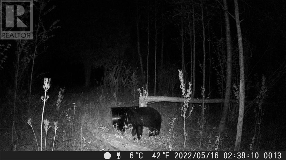 Lot 0 Whitewater, Azilda, Ontario  P0M 1B0 - Photo 46 - 2126081