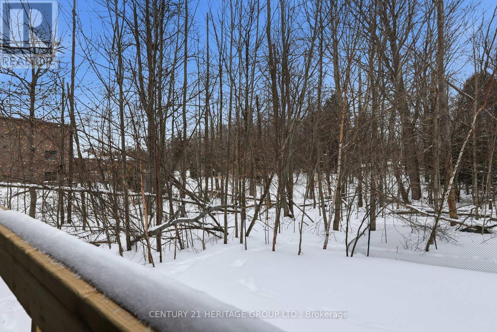 8 Scotia Road, Georgina, Ontario  L0E 1R0 - Photo 32 - N12772648